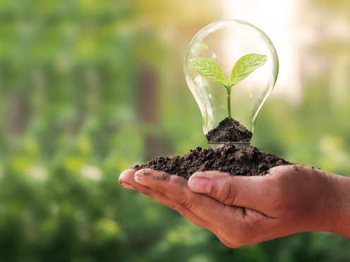 The Environmental Benefits of House Removals Over Demolition